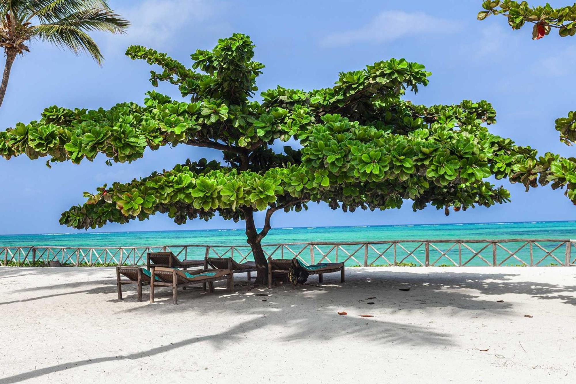 VRclub Paje Palms Beach Resort Zewnętrze zdjęcie